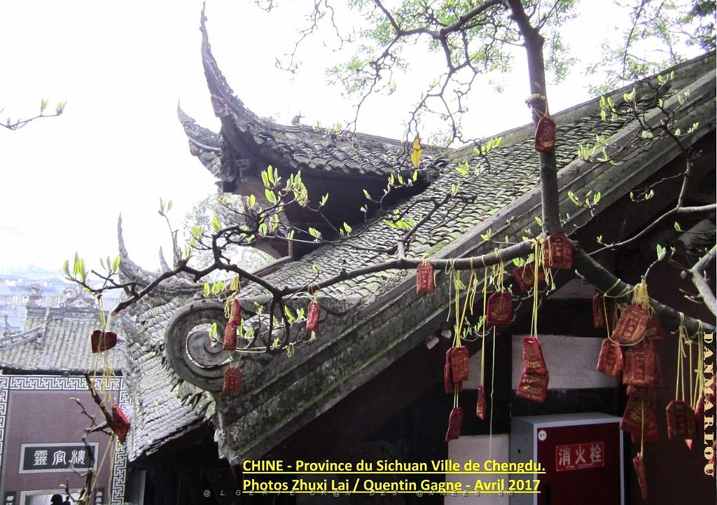 Chengdu avril 2017 - 093.JPG